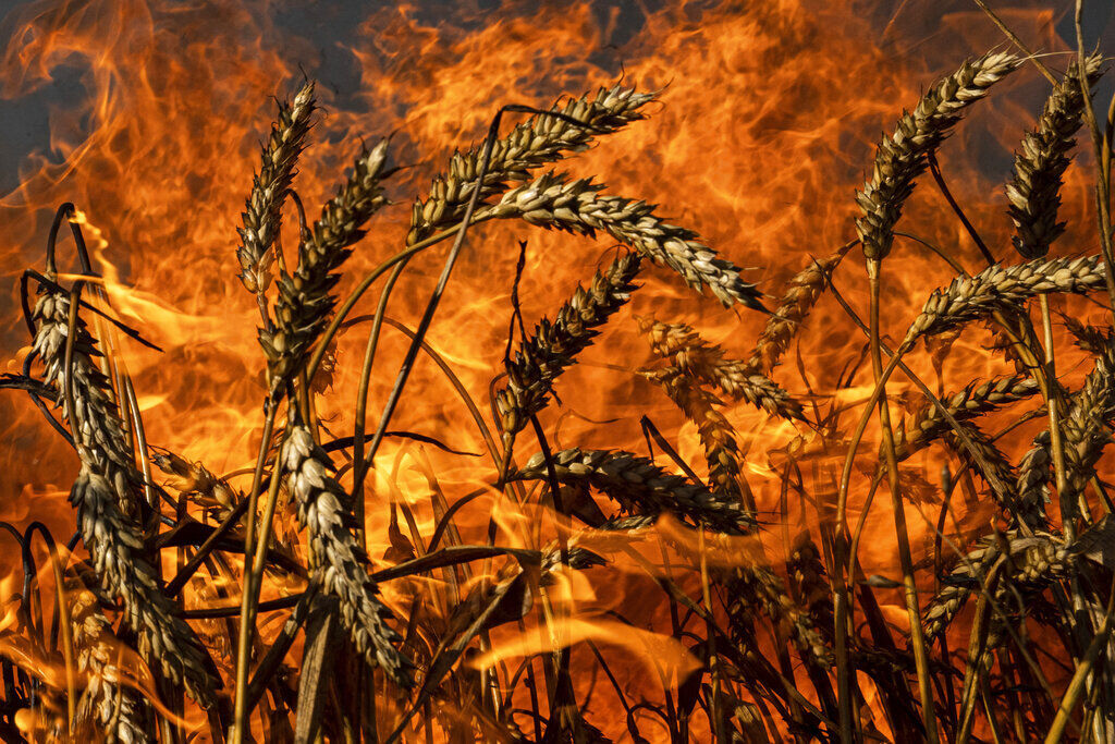Russia Ukraine War Half A Year Photo Gallery